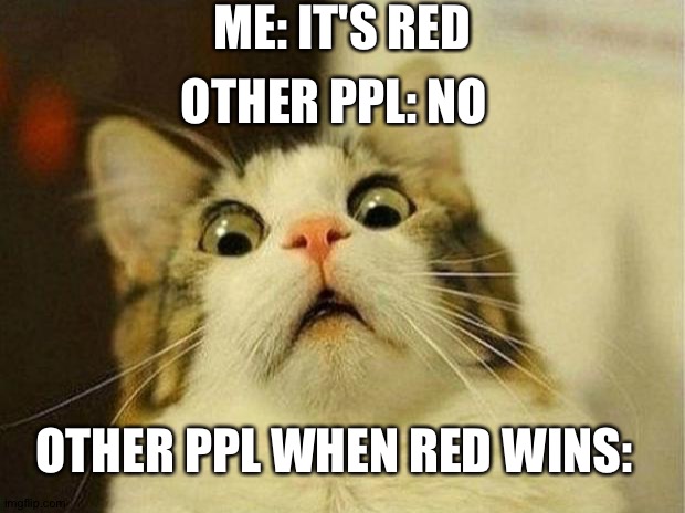 Scared Cat Meme | ME: IT'S RED; OTHER PPL: NO; OTHER PPL WHEN RED WINS: | image tagged in memes,scared cat | made w/ Imgflip meme maker
