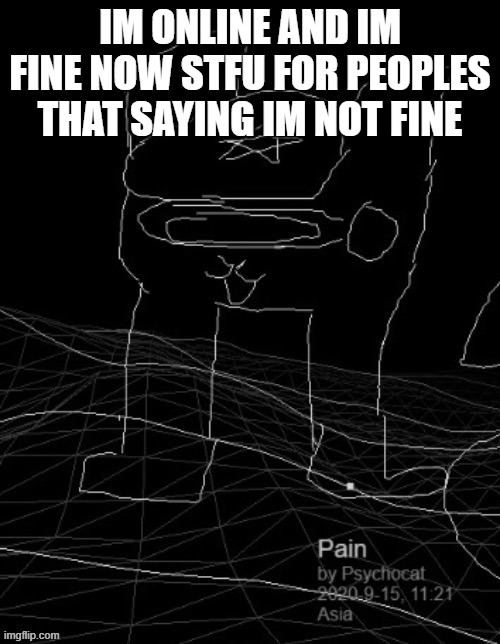 Pain | IM ONLINE AND IM FINE NOW STFU FOR PEOPLES THAT SAYING IM NOT FINE | image tagged in pain | made w/ Imgflip meme maker
