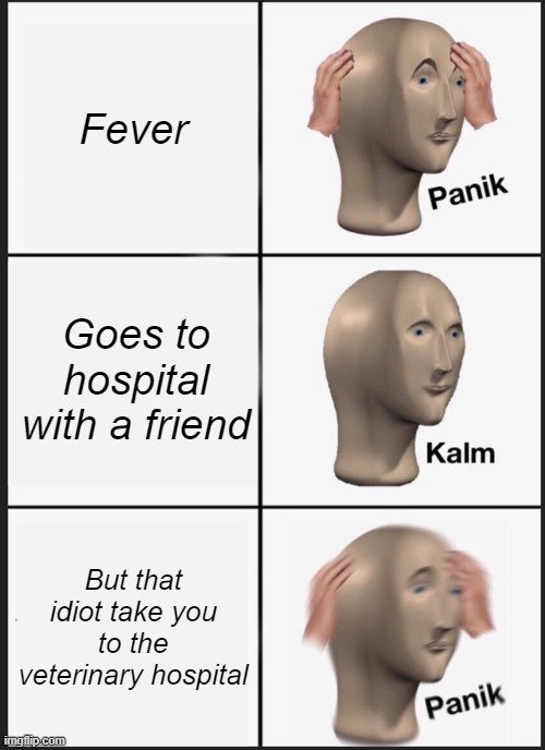 Fun with friend | Fever; Goes to hospital with a friend; But that idiot take you to the veterinary hospital | image tagged in memes,panik kalm panik | made w/ Imgflip meme maker
