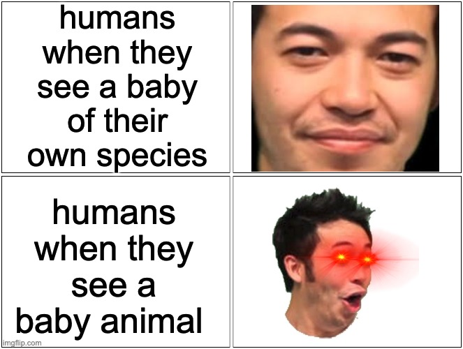 Conclusion: To stop the human race from dying out we need half breeds | humans when they see a baby of their own species; humans when they see a baby animal | image tagged in memes | made w/ Imgflip meme maker