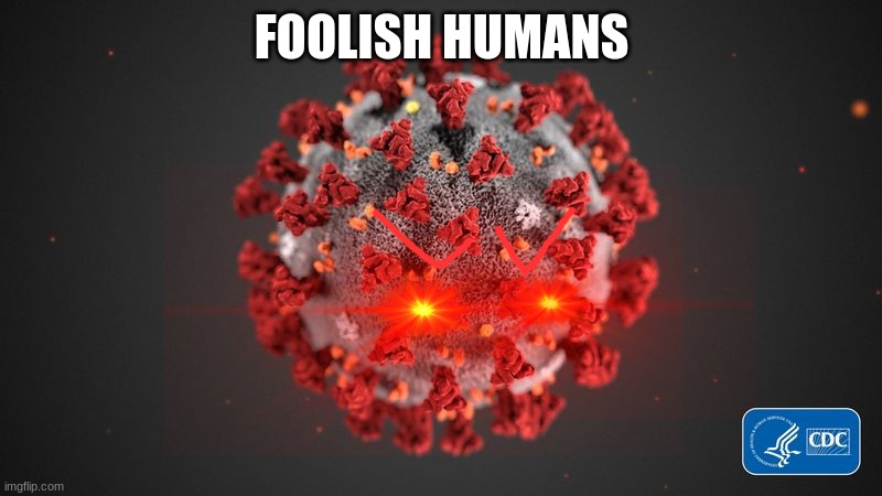FOOLISH HUMANS | made w/ Imgflip meme maker