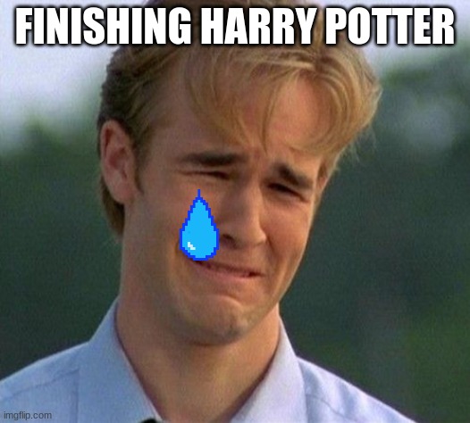 1990s First World Problems | FINISHING HARRY POTTER | image tagged in harry potter,harry potter meme | made w/ Imgflip meme maker