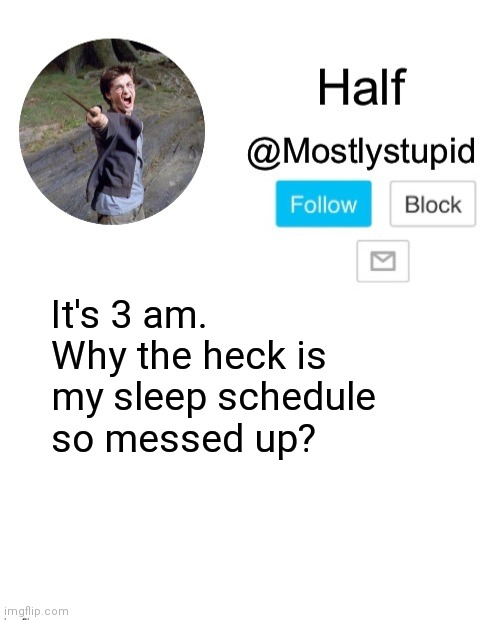 Mostlystupid template | It's 3 am.  Why the heck is my sleep schedule so messed up? | image tagged in mostlystupid template | made w/ Imgflip meme maker