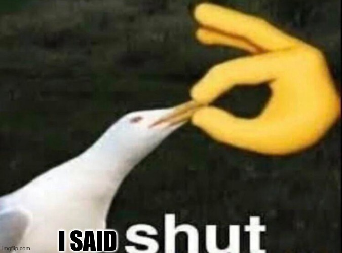SHUT | I SAID | image tagged in shut | made w/ Imgflip meme maker