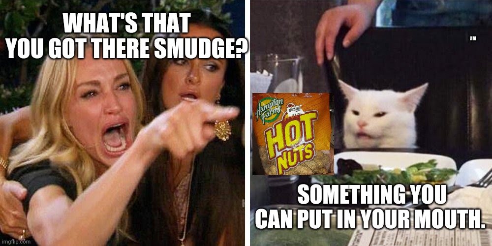 Smudge the cat |  WHAT'S THAT YOU GOT THERE SMUDGE? J M; SOMETHING YOU CAN PUT IN YOUR MOUTH. | image tagged in smudge the cat | made w/ Imgflip meme maker