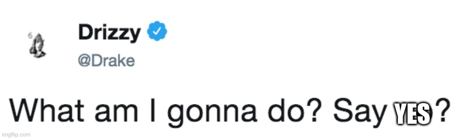 What am I gonna do? Say no? | YES | image tagged in what am i gonna do say no | made w/ Imgflip meme maker