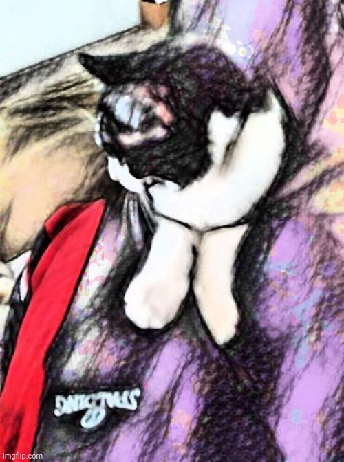 Hey guys look at this totally legit drawing I made of my cat that i definitely didnt just put through a filter | image tagged in a,e | made w/ Imgflip meme maker
