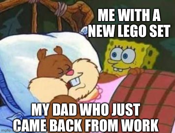 “Daaaaaaaaad” | ME WITH A NEW LEGO SET; MY DAD WHO JUST CAME BACK FROM WORK | image tagged in sleeping sandy | made w/ Imgflip meme maker