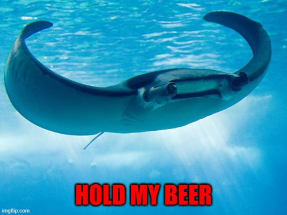 HOLD MY BEER | made w/ Imgflip meme maker