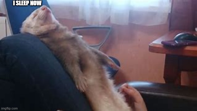 I SLEEP NOW | made w/ Imgflip meme maker