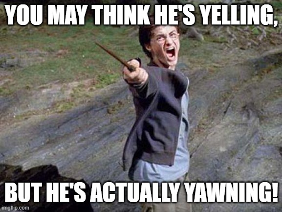 YAWNecto Patronum!! | YOU MAY THINK HE'S YELLING, BUT HE'S ACTUALLY YAWNING! | image tagged in harry potter yelling | made w/ Imgflip meme maker