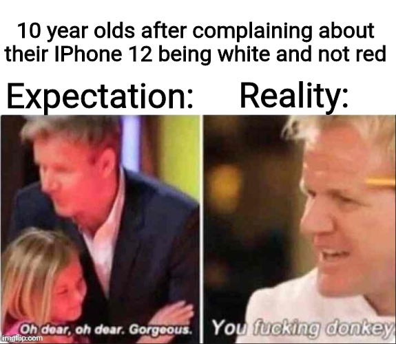 I hate this generation more  than Gen Z |  Expectation:; 10 year olds after complaining about their IPhone 12 being white and not red; Reality: | image tagged in oh dear oh dear gorgeous | made w/ Imgflip meme maker