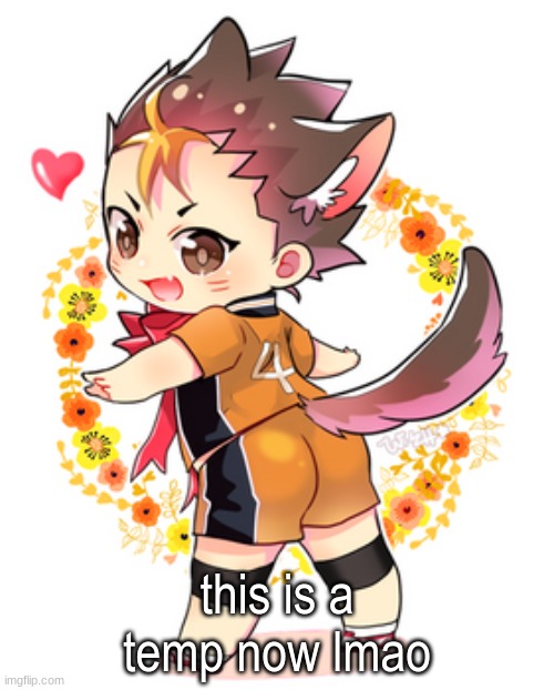 Nishinoya | this is a temp now lmao | image tagged in nishinoya | made w/ Imgflip meme maker