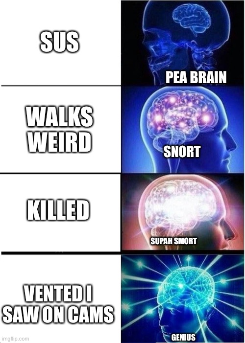 Expanding Brain | SUS; PEA BRAIN; WALKS WEIRD; SNORT; KILLED; SUPAH SMORT; VENTED I SAW ON CAMS; GENIUS | image tagged in memes,expanding brain | made w/ Imgflip meme maker