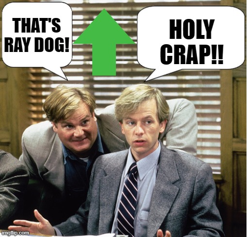 Tommy Boy by kewlew | THAT'S RAY DOG! HOLY CRAP!! | image tagged in tommy boy by kewlew | made w/ Imgflip meme maker