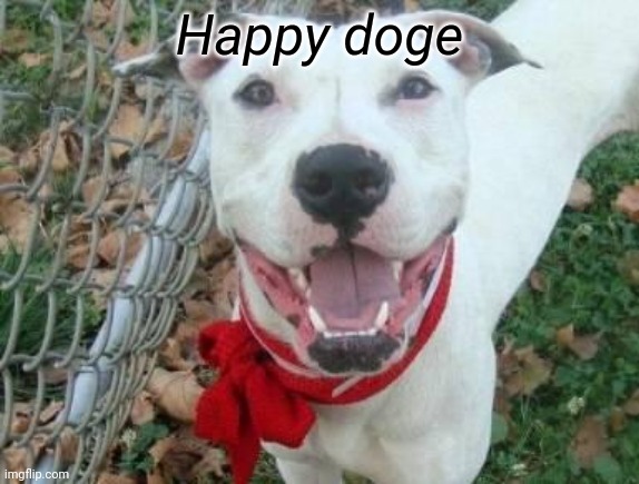 Happy doge | made w/ Imgflip meme maker
