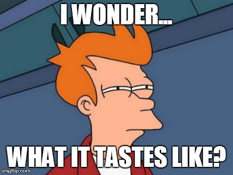 Futurama Fry Meme | I WONDER... WHAT IT TASTES LIKE? | image tagged in memes,futurama fry | made w/ Imgflip meme maker