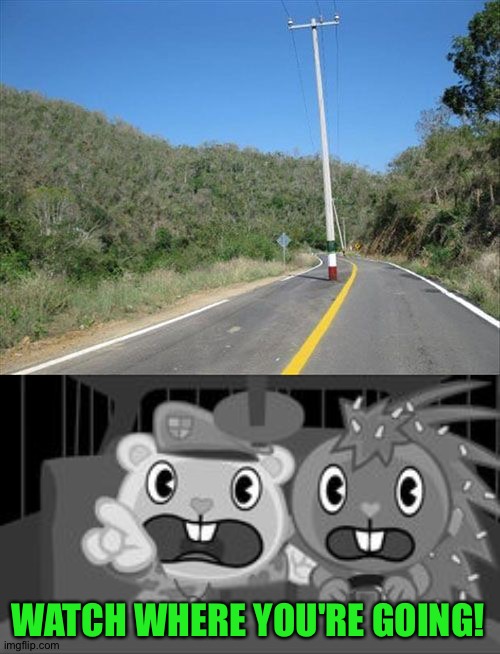 Oh frick! | WATCH WHERE YOU'RE GOING! | image tagged in funny | made w/ Imgflip meme maker