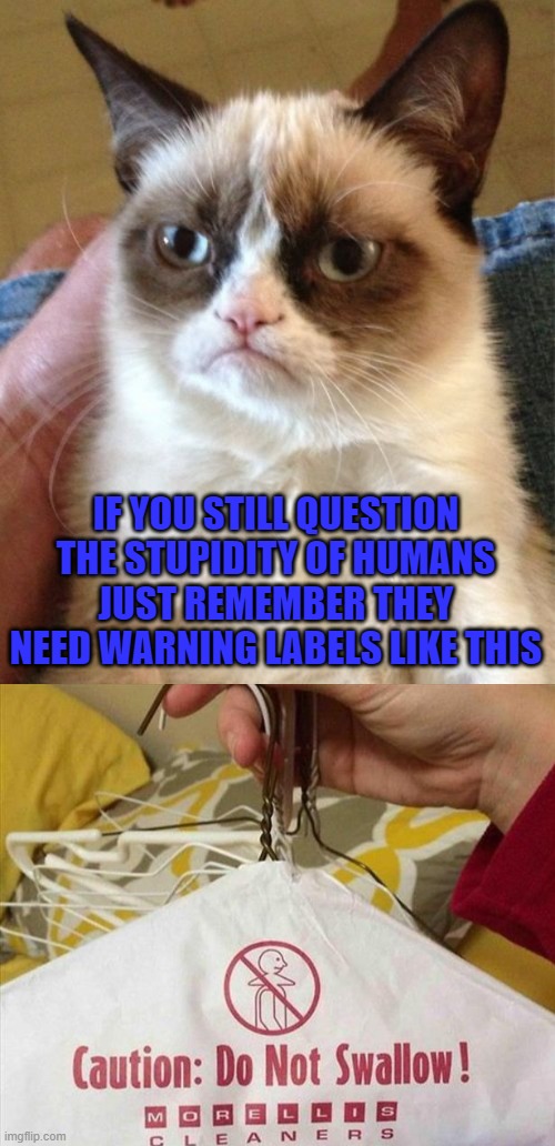 Why is this warning label even necessary? | IF YOU STILL QUESTION THE STUPIDITY OF HUMANS JUST REMEMBER THEY NEED WARNING LABELS LIKE THIS | image tagged in memes,grumpy cat,humans,stupidity,funny,cats | made w/ Imgflip meme maker