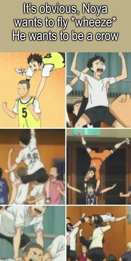 *wheeze* | It's obvious, Noya wants to fly *wheeze*
He wants to be a crow | made w/ Imgflip meme maker