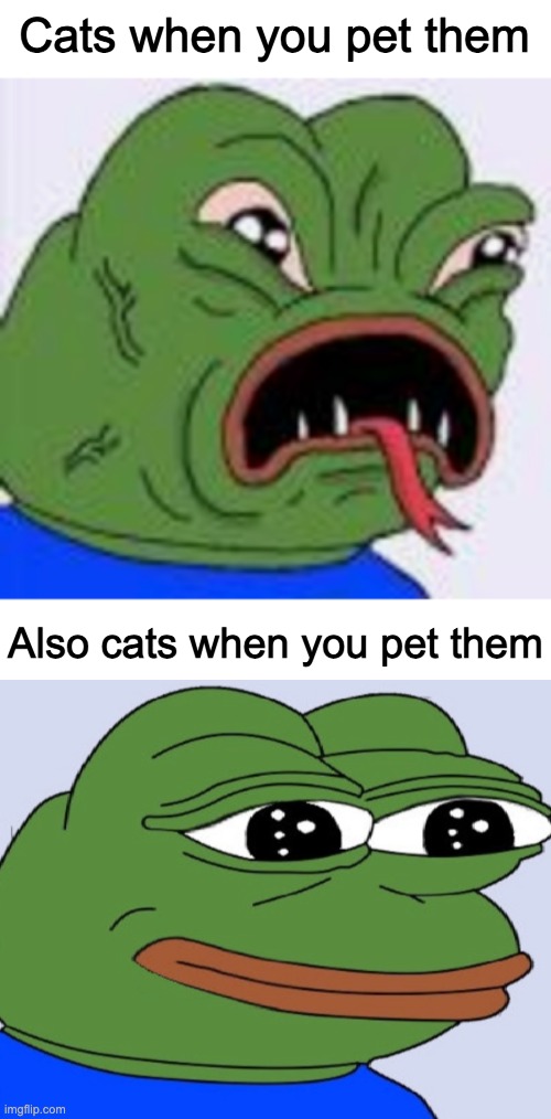 Cats when you pet them; Also cats when you pet them | made w/ Imgflip meme maker