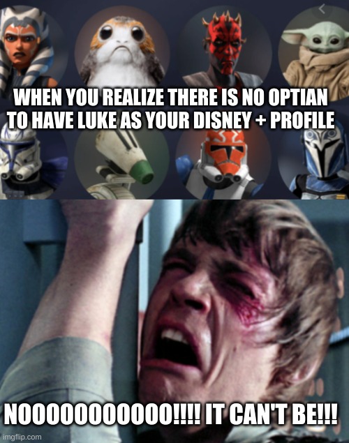 WHEN YOU REALIZE THERE IS NO OPTIAN TO HAVE LUKE AS YOUR DISNEY + PROFILE; NOOOOOOOOOOO!!!! IT CAN'T BE!!! | image tagged in star wars | made w/ Imgflip meme maker