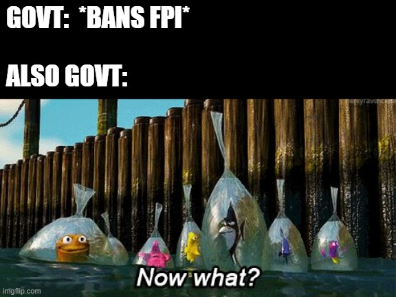 bubar | GOVT:  *BANS FPI*
 
ALSO GOVT: | image tagged in now what | made w/ Imgflip meme maker