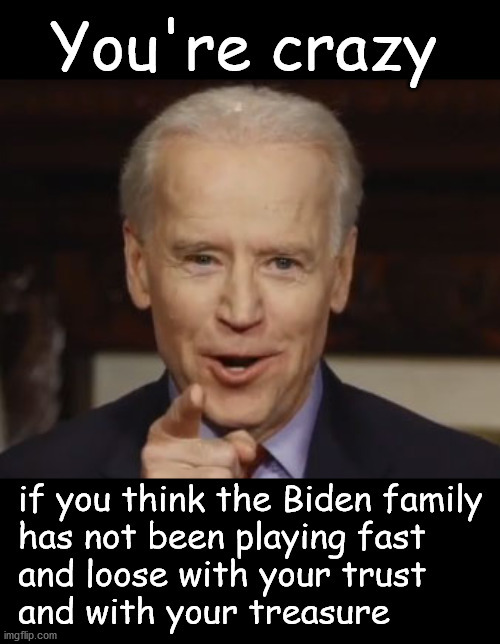 you're crazy; biden family corruption | image tagged in politics | made w/ Imgflip meme maker