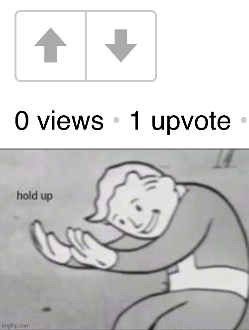 W-T-F | image tagged in fallout hold up | made w/ Imgflip meme maker