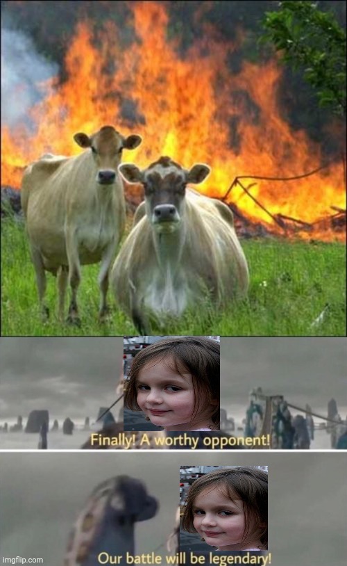 A crossover we didn't know we needed | image tagged in memes,evil cows,finally a worthy opponent,disaster girl,funny,crossover | made w/ Imgflip meme maker