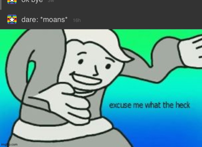 Vera what the f**k | image tagged in excuse me what the heck | made w/ Imgflip meme maker