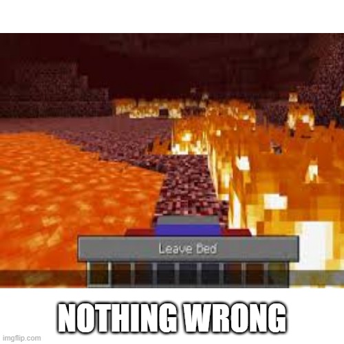 nothing wrong | NOTHING WRONG | image tagged in blank | made w/ Imgflip meme maker