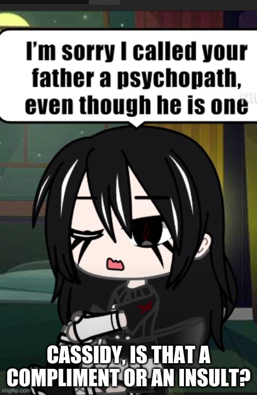 o-o | CASSIDY, IS THAT A COMPLIMENT OR AN INSULT? | made w/ Imgflip meme maker