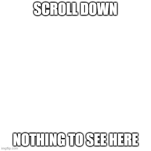 nothing | SCROLL DOWN; NOTHING TO SEE HERE | image tagged in memes,blank transparent square | made w/ Imgflip meme maker