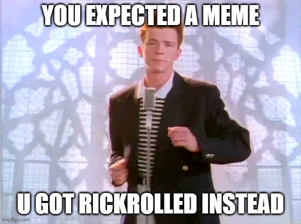 haha yes,get rickrolled | YOU EXPECTED A MEME; U GOT RICKROLLED INSTEAD | image tagged in rickrolling | made w/ Imgflip meme maker