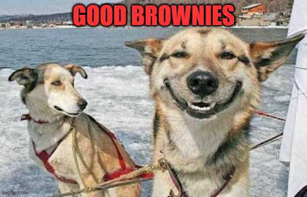 Original Stoner Dog Meme | GOOD BROWNIES | image tagged in memes,original stoner dog | made w/ Imgflip meme maker