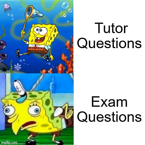Exams Tho | Tutor
Questions; Exam Questions | image tagged in school,tests,exams,college,studying | made w/ Imgflip meme maker