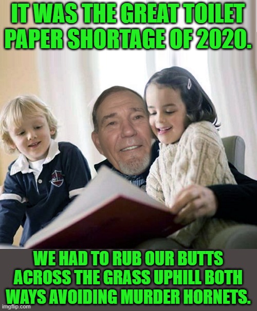 20 years from now | IT WAS THE GREAT TOILET PAPER SHORTAGE OF 2020. WE HAD TO RUB OUR BUTTS ACROSS THE GRASS UPHILL BOTH WAYS AVOIDING MURDER HORNETS. | image tagged in story teller,toilet paper | made w/ Imgflip meme maker