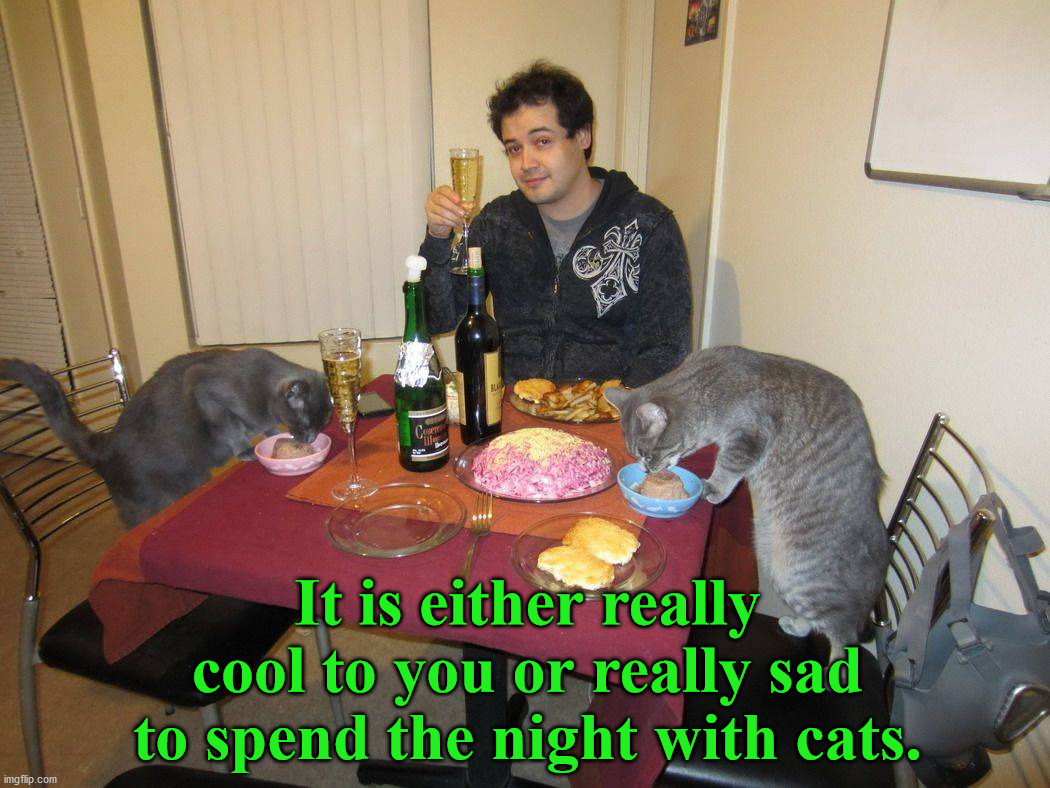 Happy New Years | It is either really cool to you or really sad to spend the night with cats. | image tagged in cats | made w/ Imgflip meme maker