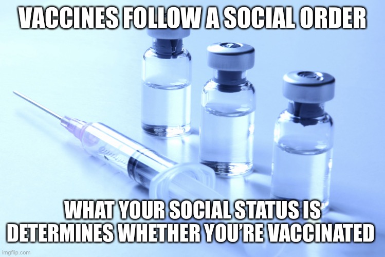 vaccine | VACCINES FOLLOW A SOCIAL ORDER WHAT YOUR SOCIAL STATUS IS DETERMINES WHETHER YOU’RE VACCINATED | image tagged in vaccine | made w/ Imgflip meme maker