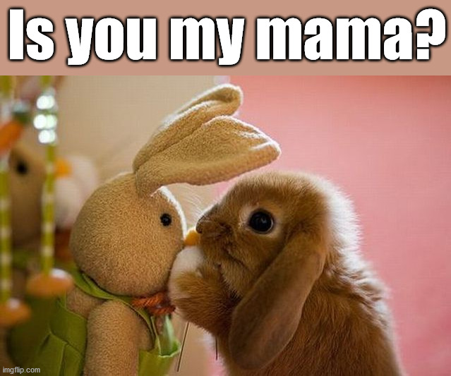 Is you my mama? | made w/ Imgflip meme maker