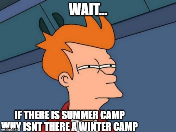 Futurama Fry | WAIT... IF THERE IS SUMMER CAMP WHY ISNT THERE A WINTER CAMP | image tagged in memes,futurama fry | made w/ Imgflip meme maker