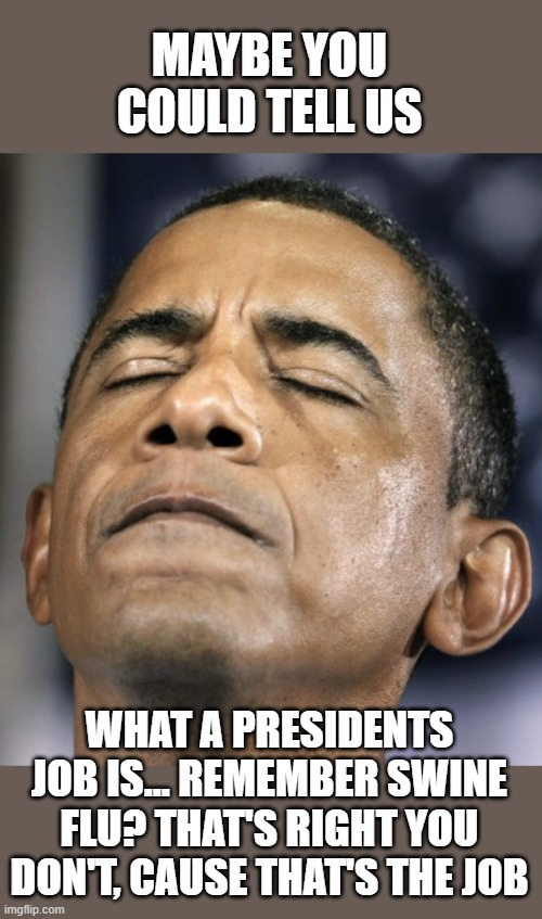 obama-distraught-goddammit-doh-fail | MAYBE YOU COULD TELL US WHAT A PRESIDENTS JOB IS... REMEMBER SWINE FLU? THAT'S RIGHT YOU DON'T, CAUSE THAT'S THE JOB | image tagged in obama-distraught-goddammit-doh-fail | made w/ Imgflip meme maker