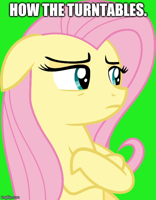Suspicious Fluttershy (MLP) | HOW THE TURNTABLES. | image tagged in suspicious fluttershy mlp | made w/ Imgflip meme maker