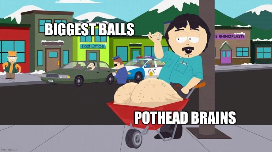 BIGGEST BALLS POTHEAD BRAINS | made w/ Imgflip meme maker