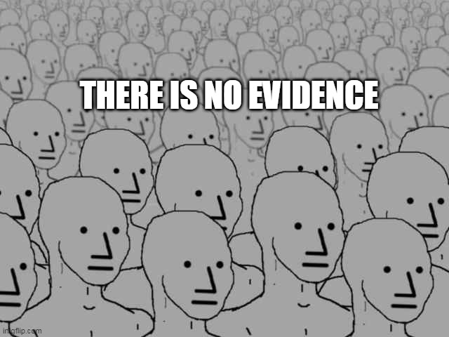 What election fraud? | THERE IS NO EVIDENCE | image tagged in npc crowd | made w/ Imgflip meme maker
