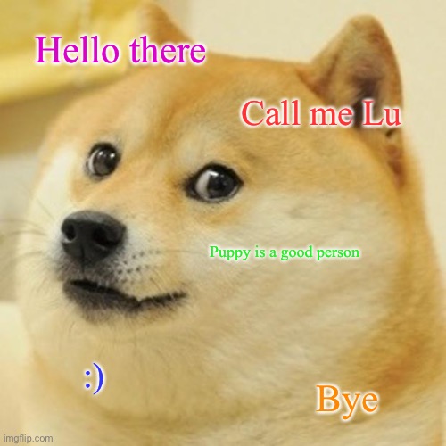 Hai! | Hello there; Call me Lu; Puppy is a good person; :); Bye | image tagged in memes,doge | made w/ Imgflip meme maker