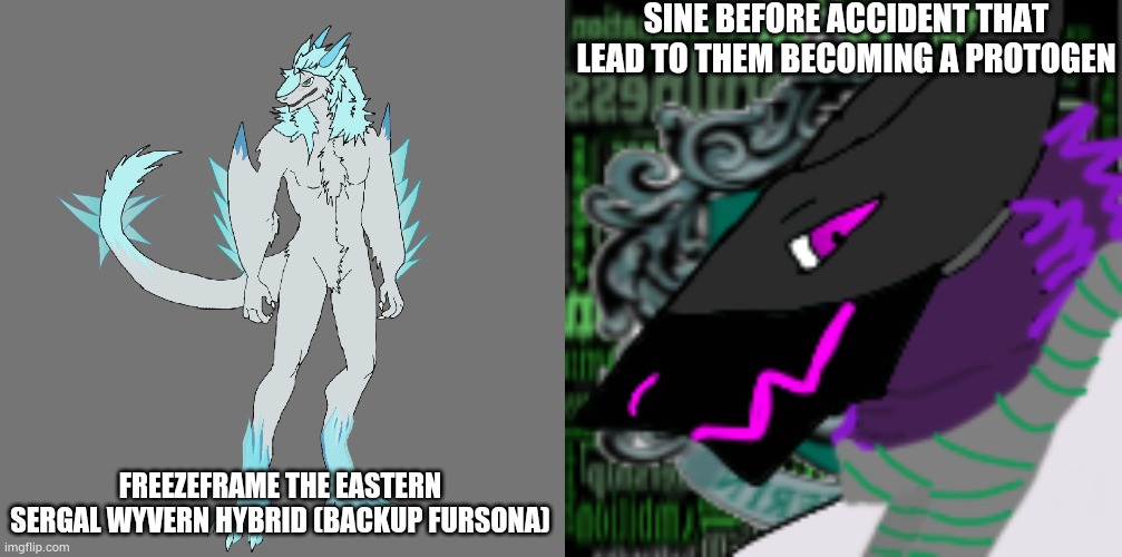 Sine was an half Northern and Western Sergal. They ended up becoming a Protogen after an accident. | SINE BEFORE ACCIDENT THAT LEAD TO THEM BECOMING A PROTOGEN; FREEZEFRAME THE EASTERN SERGAL WYVERN HYBRID (BACKUP FURSONA) | made w/ Imgflip meme maker