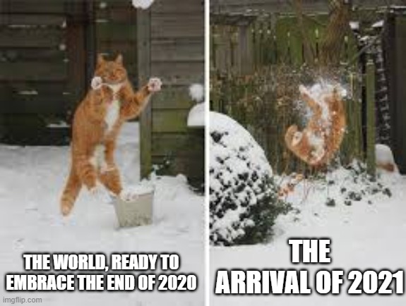 Cat catching snow | THE ARRIVAL OF 2021; THE WORLD, READY TO EMBRACE THE END OF 2020 | image tagged in cat catching snow | made w/ Imgflip meme maker