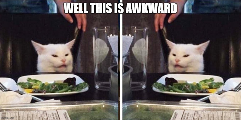 Smudge the cat | WELL THIS IS AWKWARD | image tagged in smudge the cat | made w/ Imgflip meme maker